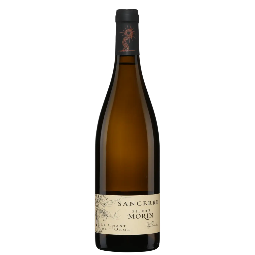 Pierre Morin Sancerre Blanc Chant de l'Orme 2020