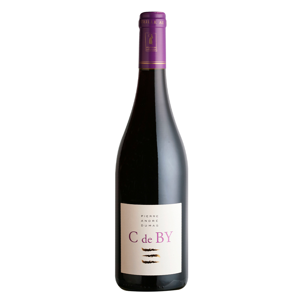 Domaine Pierre-André Dumas Cote de Brouilly 2021