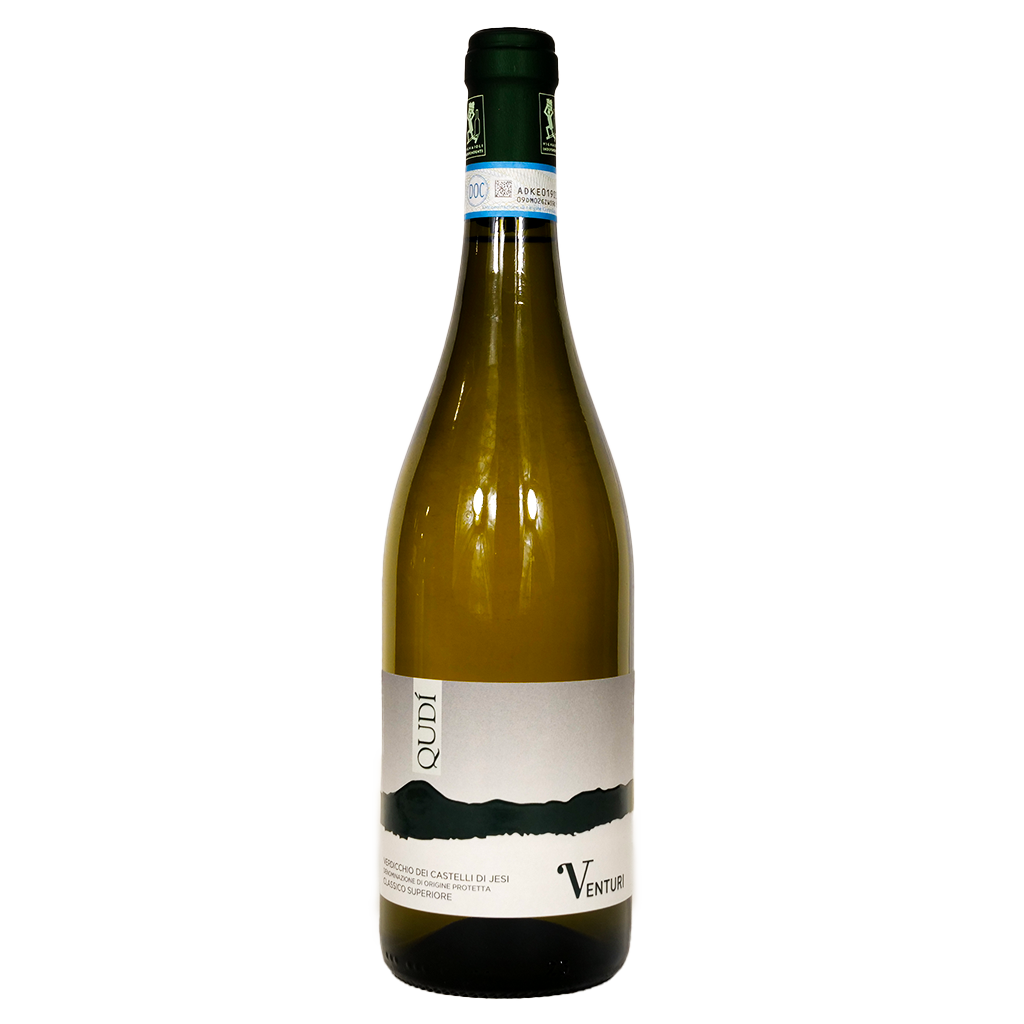 Vini Venturi Verdicchio Qudi 2023