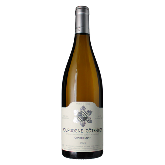 Domaine Sylvain Bzikot Bourgogne Blanc Côte d'Or 2022