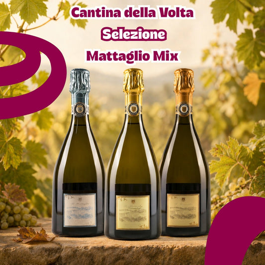 Selezione Cantina della Volta Mattaglio Mix (6 bt)