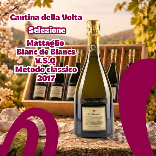 Selezione Cantina della Volta Mattaglio Blanc de Blancs V.S.Q Metodo Classico 2017 (6 bt)