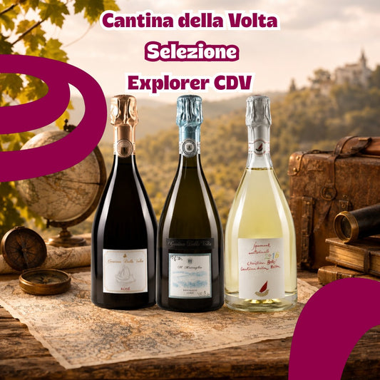 Selezione Cantina della Volta Explorer CDV (6 bt)
